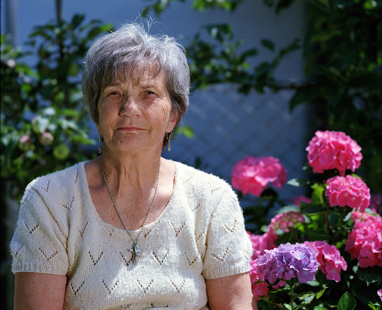 Eleam ( establecimiento de larga estadía del adulto mayor )